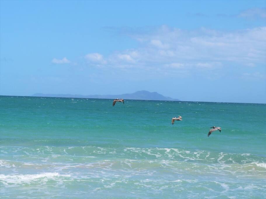 Beachfront Getaway For Two! Humacao Luaran gambar